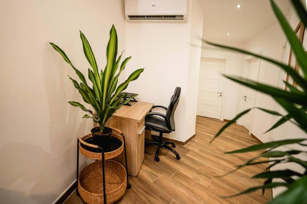 Luxurious & Stylish Penthouse With Private Pool Apartman Msida Kültér fotó